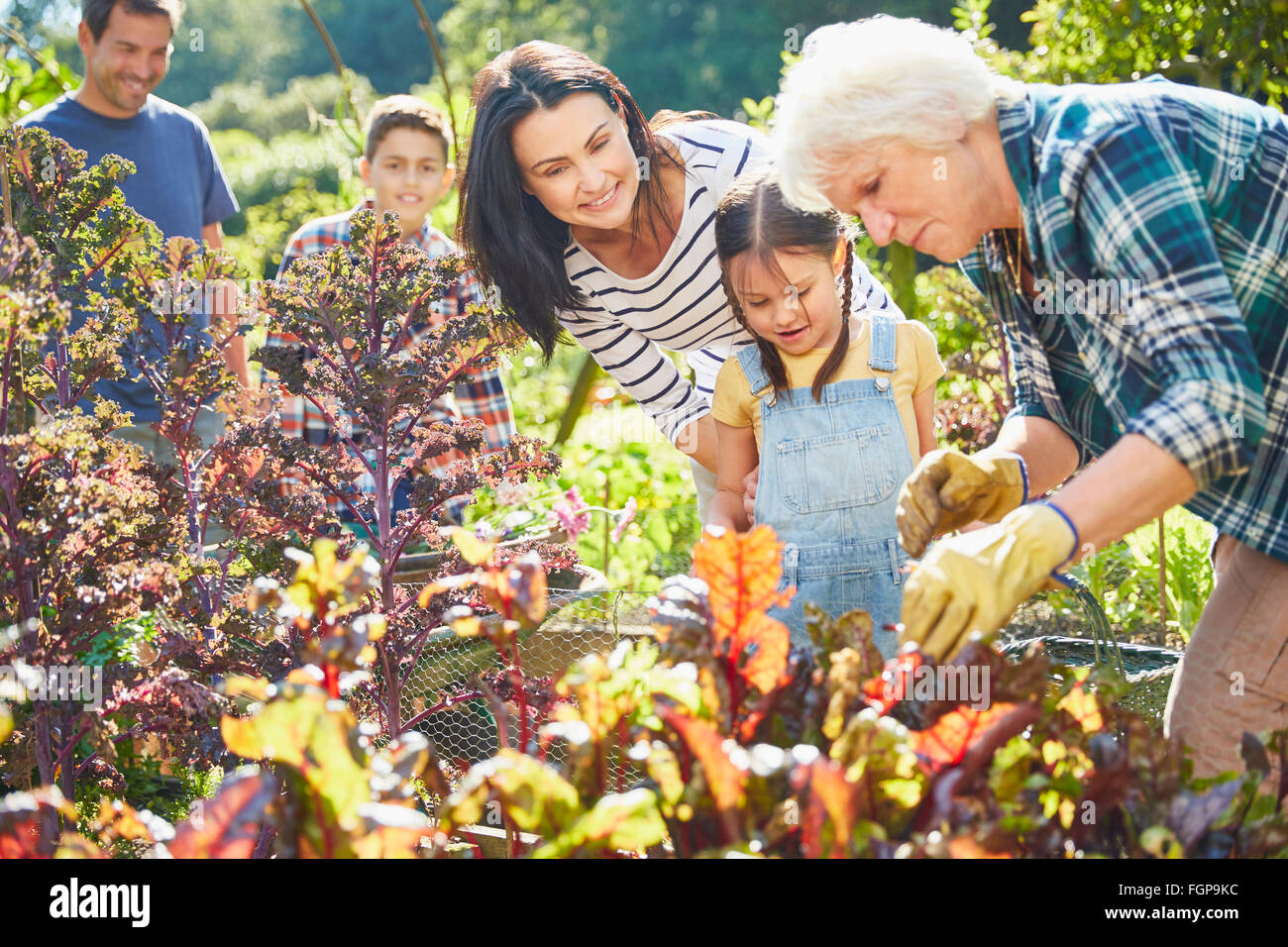 Multi-generation family in vegetable garden Stock Photo