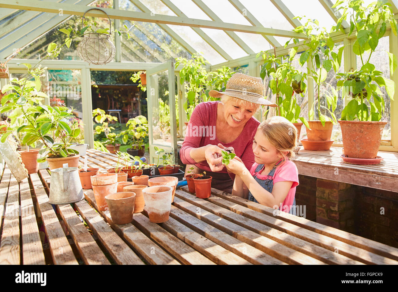 Grandmother and granddaughter potting plants in greenhouse Stock Photo