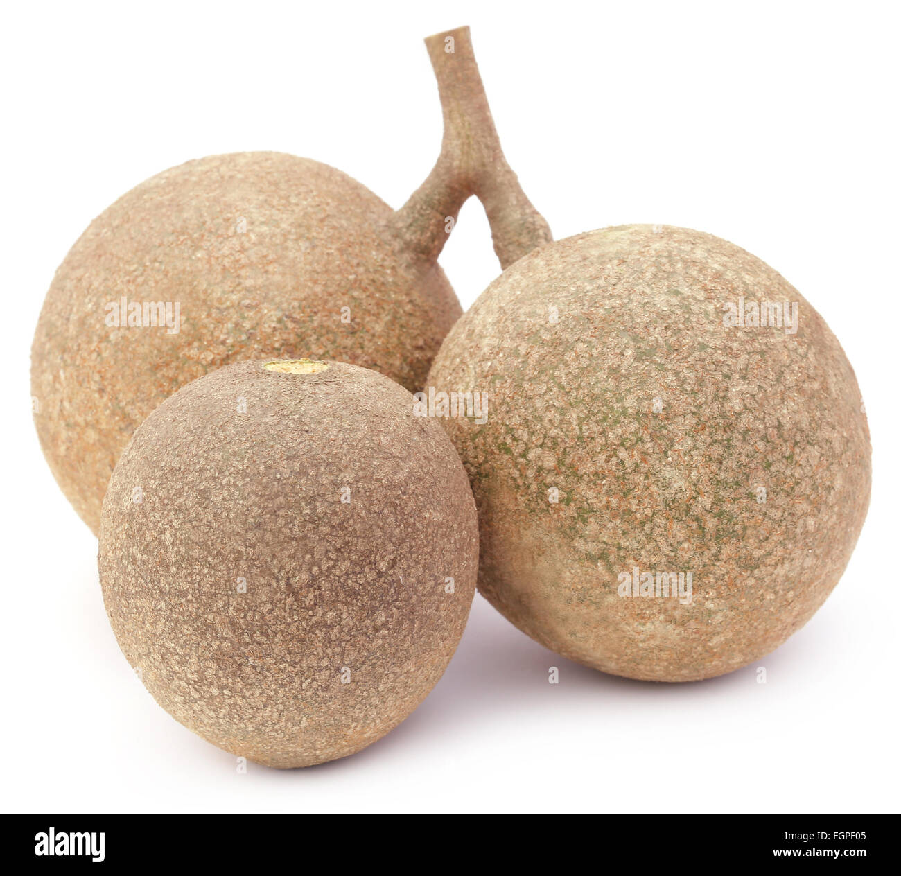 Three wood apples or kod bel of Southeast Asia over white background Stock Photo