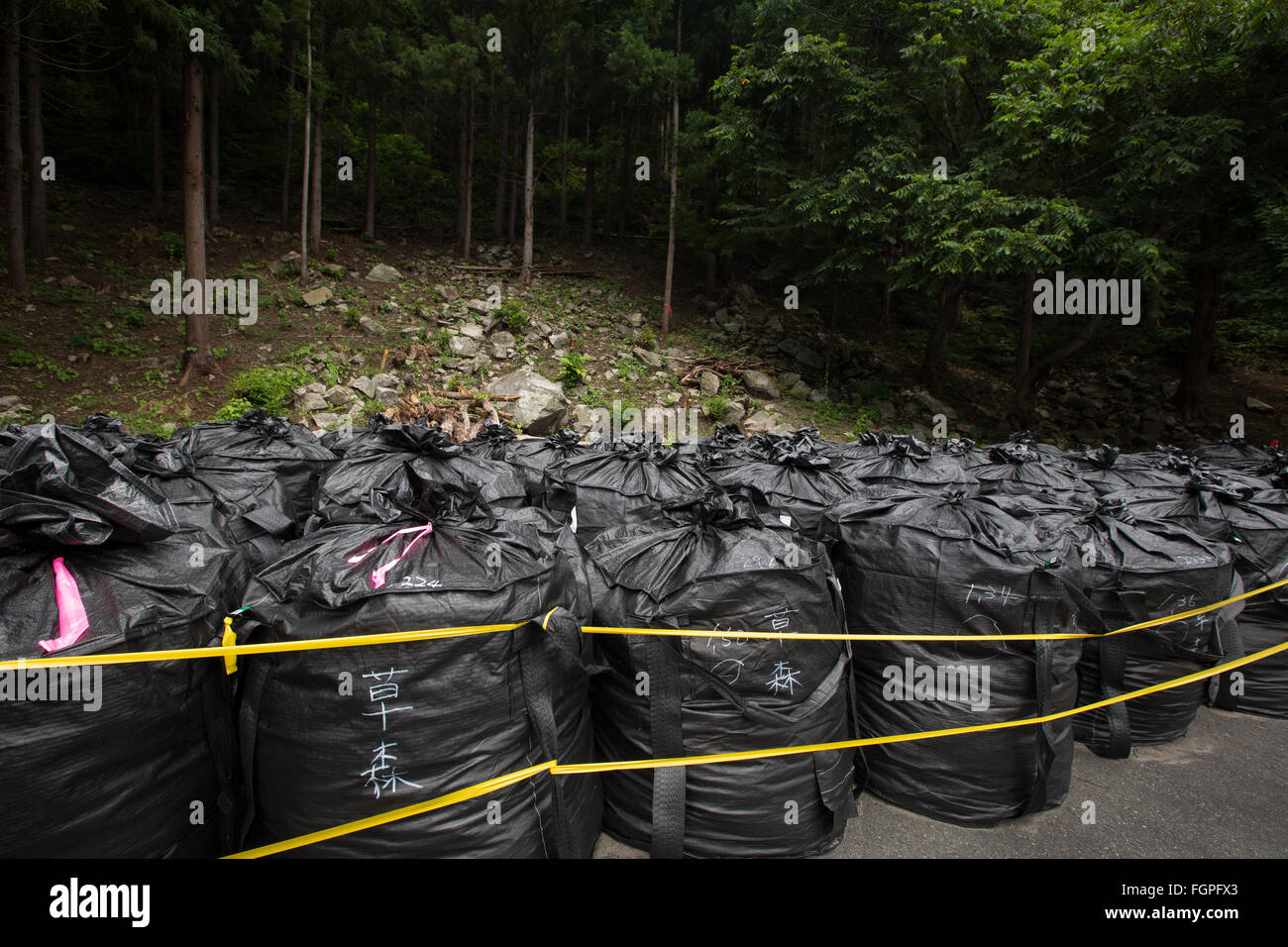 Bags of radioactive waste lay in forest during radioactive decontamination process of Iitate district, Japan. Stock Photo