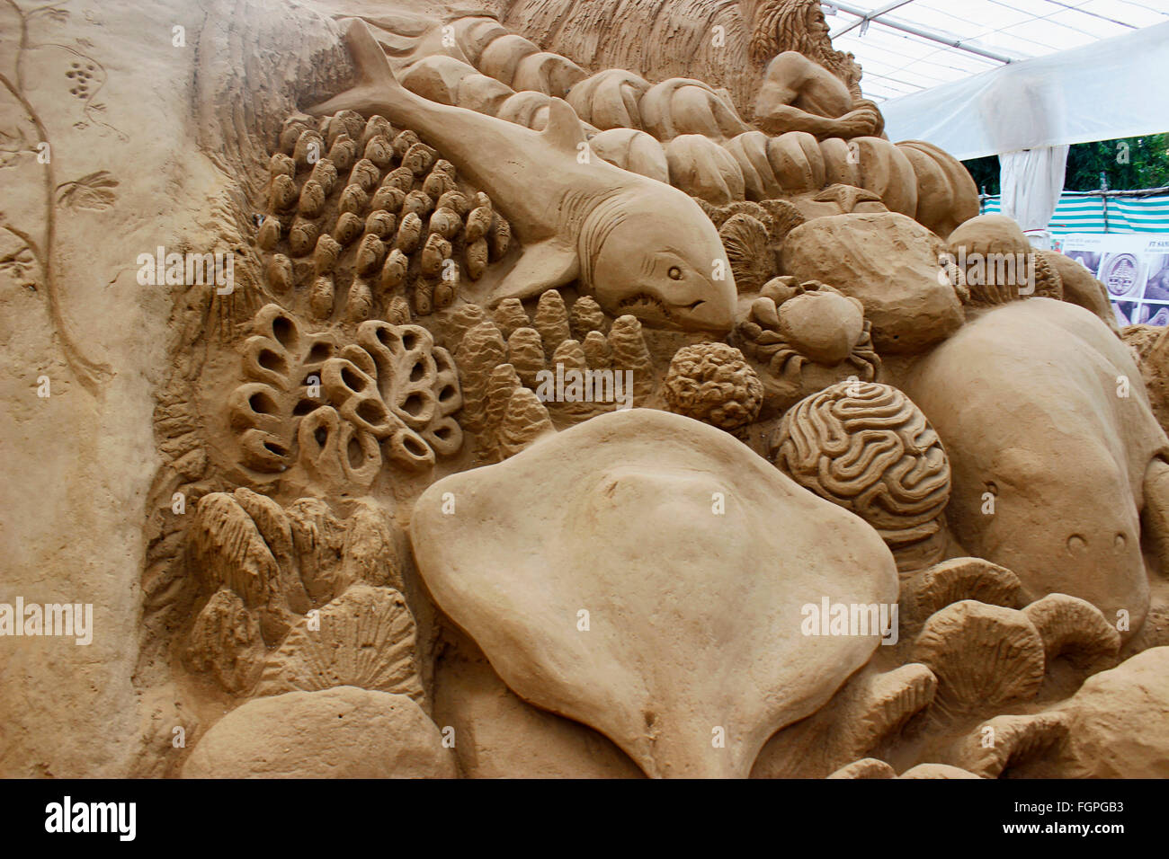 Sand art sculpture depicting marine life at Sand museum, Mysuru, Karnataka,  India Stock Photo - Alamy