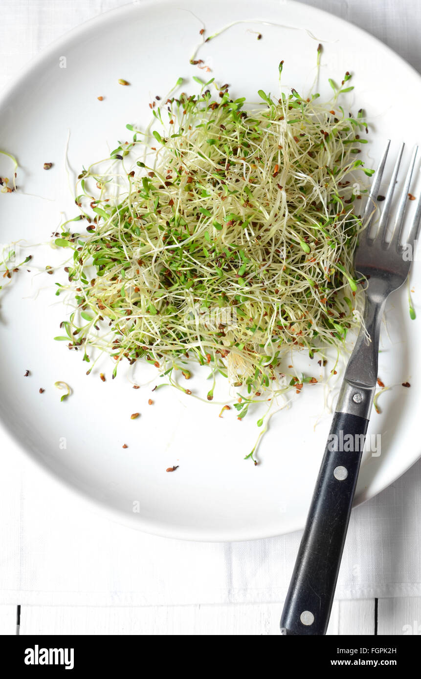 Fresh green alfalfa sprouts. healthy eating concept Stock Photo