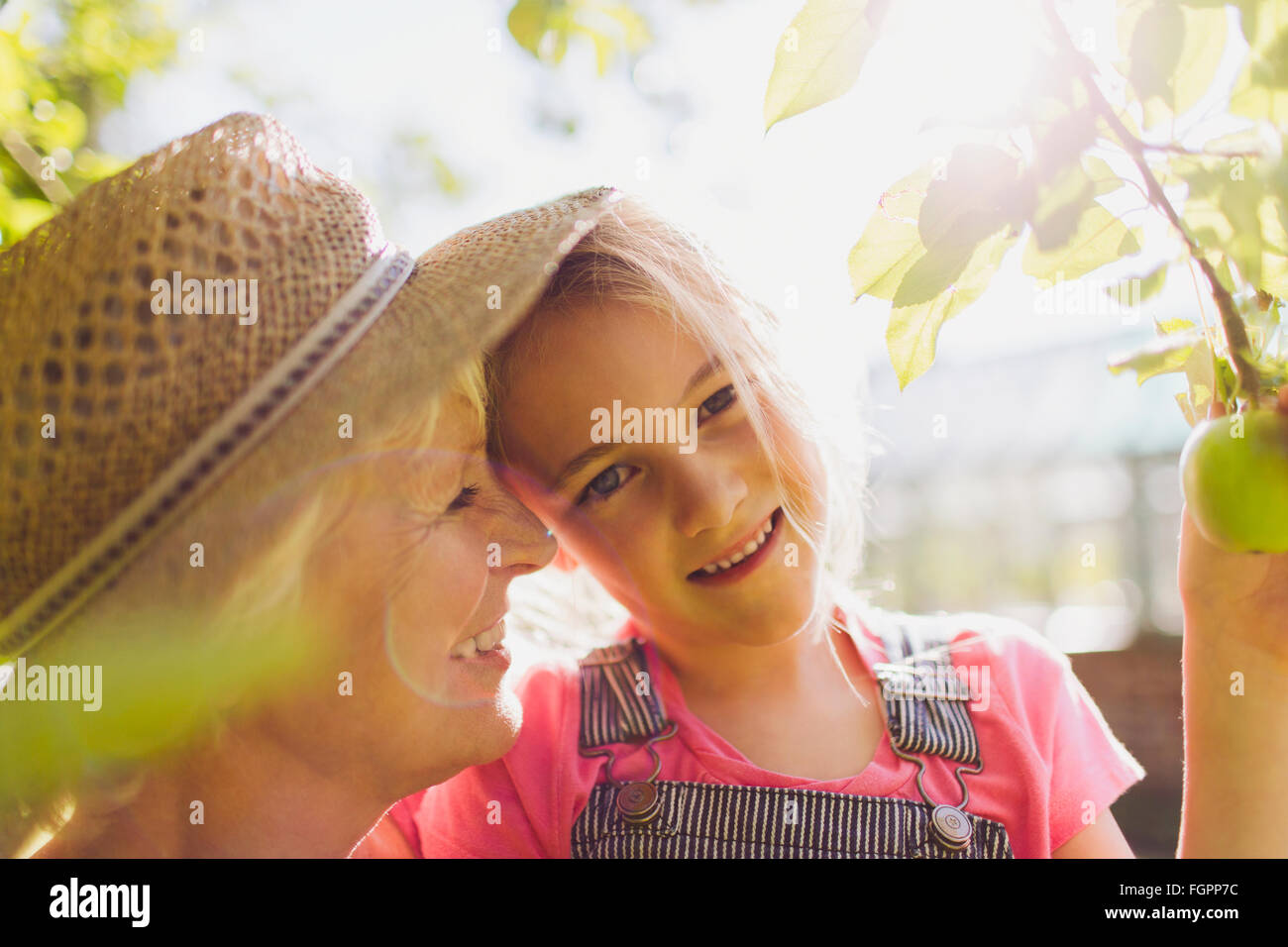 Portrait smiling granddaughter with grandmother in sunny garden Stock Photo