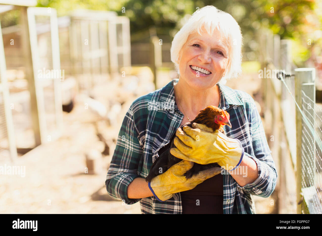 Portrait smiling woman holding chicken near coops Stock Photo Alamy
