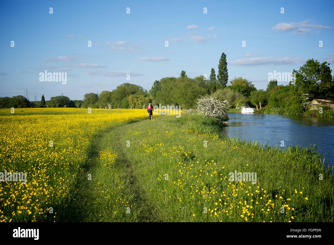 Cycling along the river Thames near Appleton in Oxfordshire, England Stock Photo