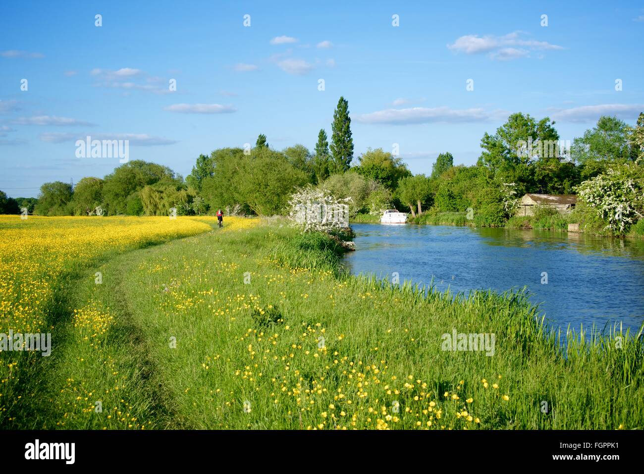 Cycling along the river Thames near Appleton in Oxfordshire, England Stock Photo