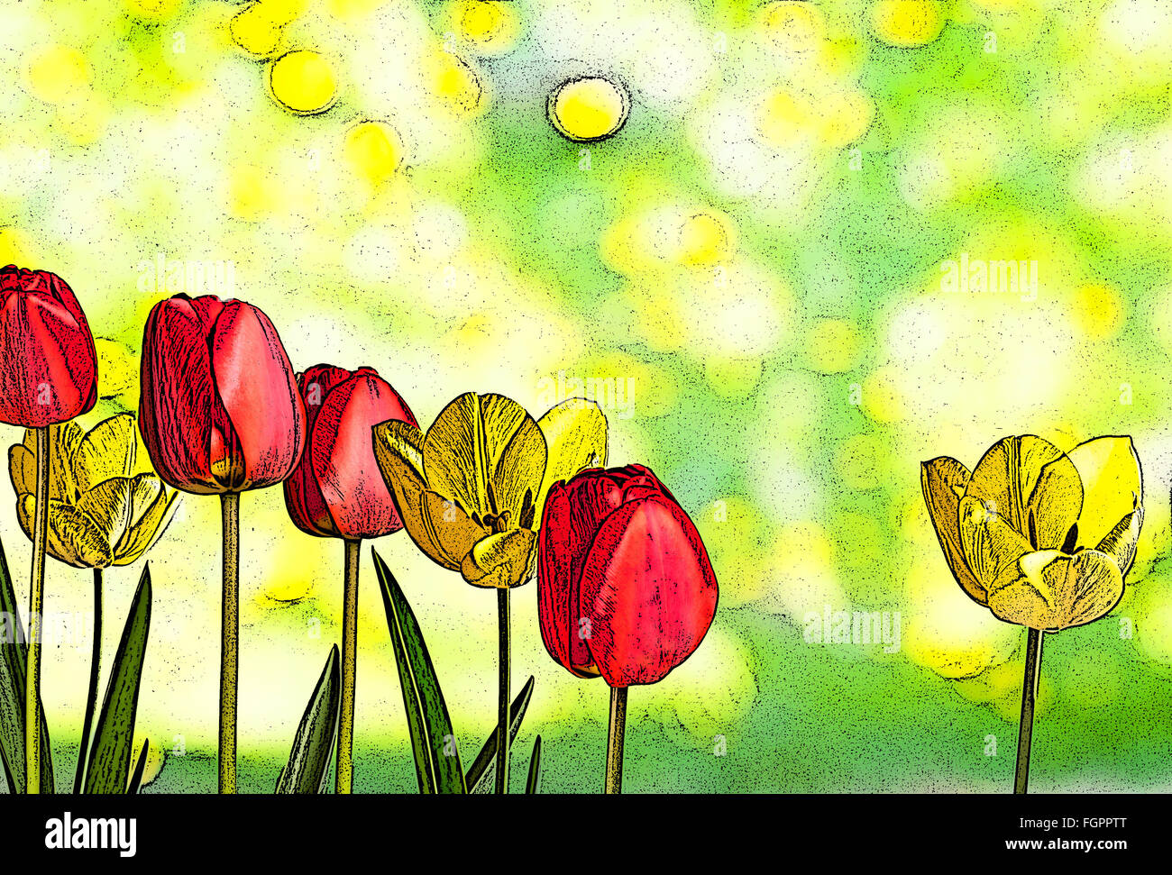 illustration of bed of red and yellow tulips Stock Photo - Alamy