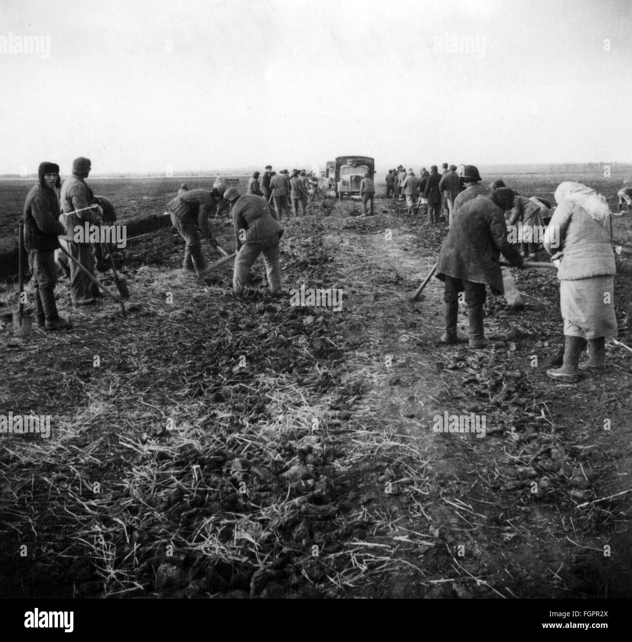 events, Second World War / WWII, Soviet Union, Soviet prisoners of war and civilians working on a country lane, photo taken by a member of the German Reich Labour Service (Reichsarbeitsdienst, RAD), Ukraine, 1941, Additional-Rights-Clearences-Not Available Stock Photo