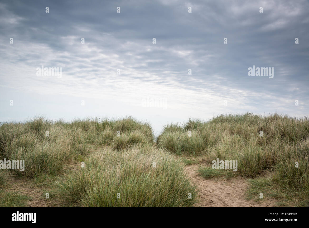 Sand dunes at Hemsby, Norfolk, England, UK Stock Photo