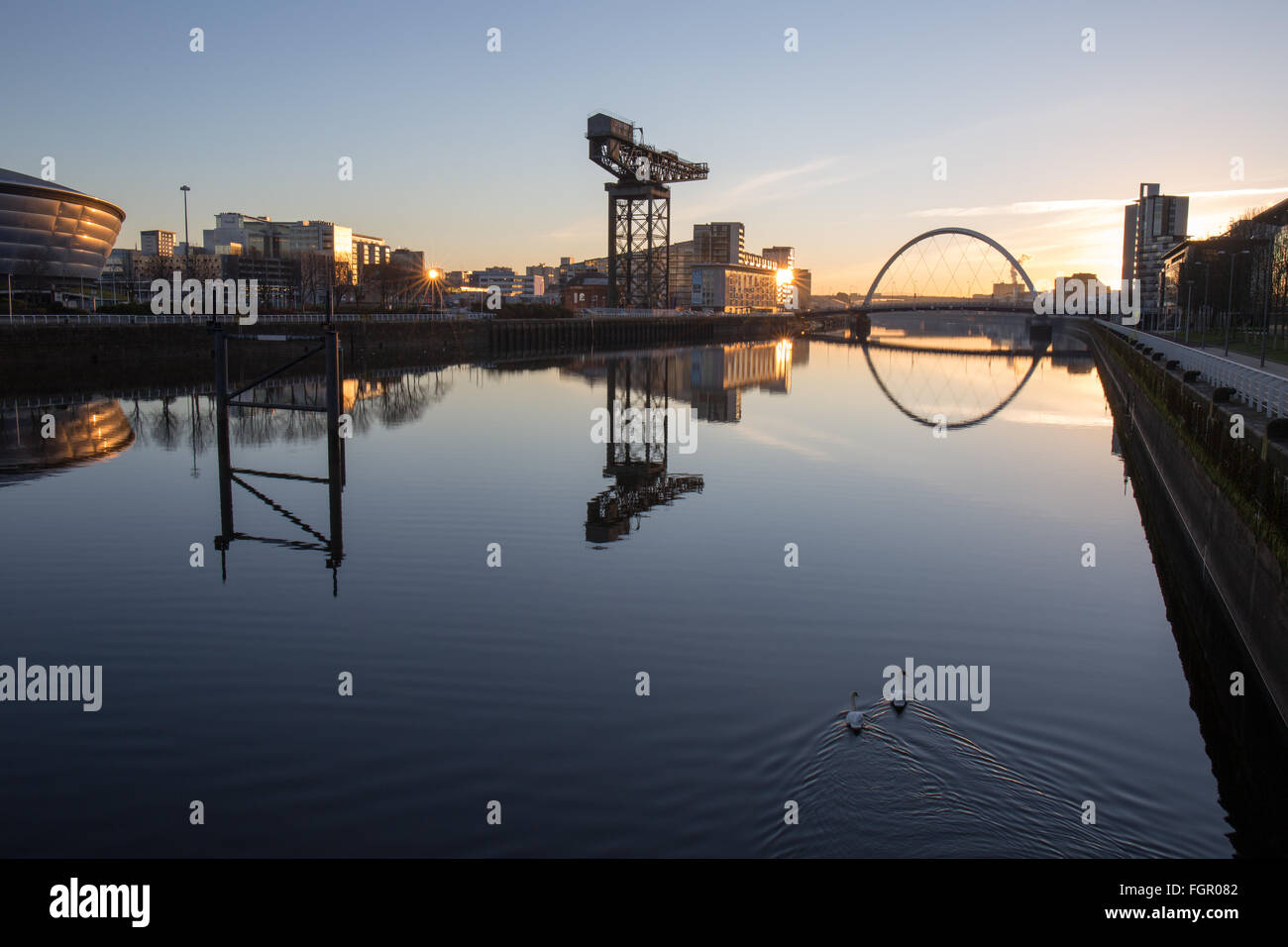 Glasgow River Clyde sunrise with swans Stock Photo