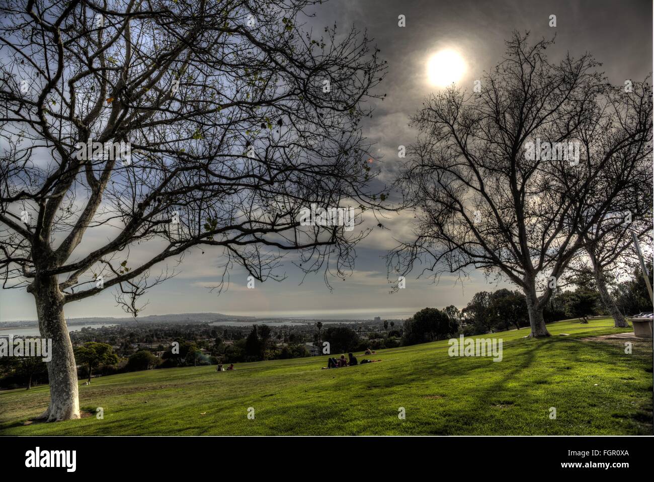 Kate o sessions memorial park hires stock photography and images Alamy