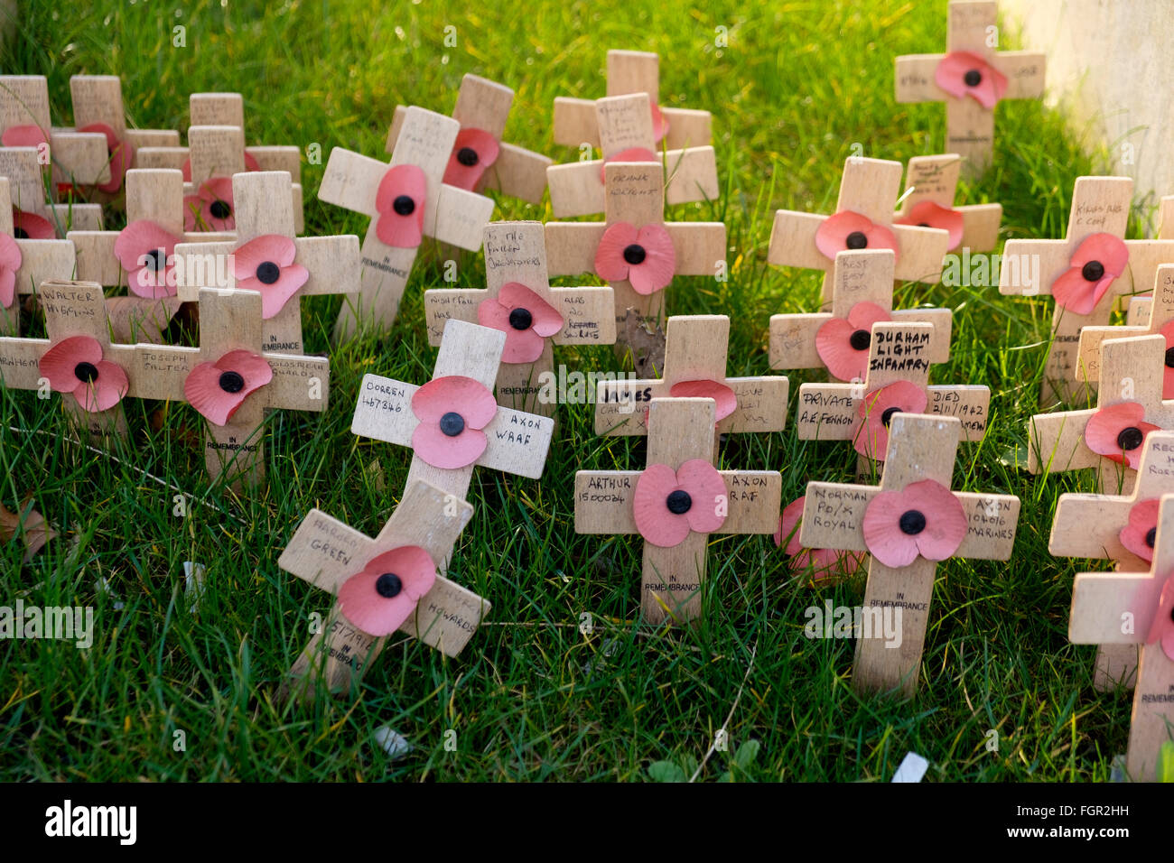 Manchester, UK - 15 February 2016: Small wooden rememberance crosses with poppies outside Manchester Town Hall Stock Photo