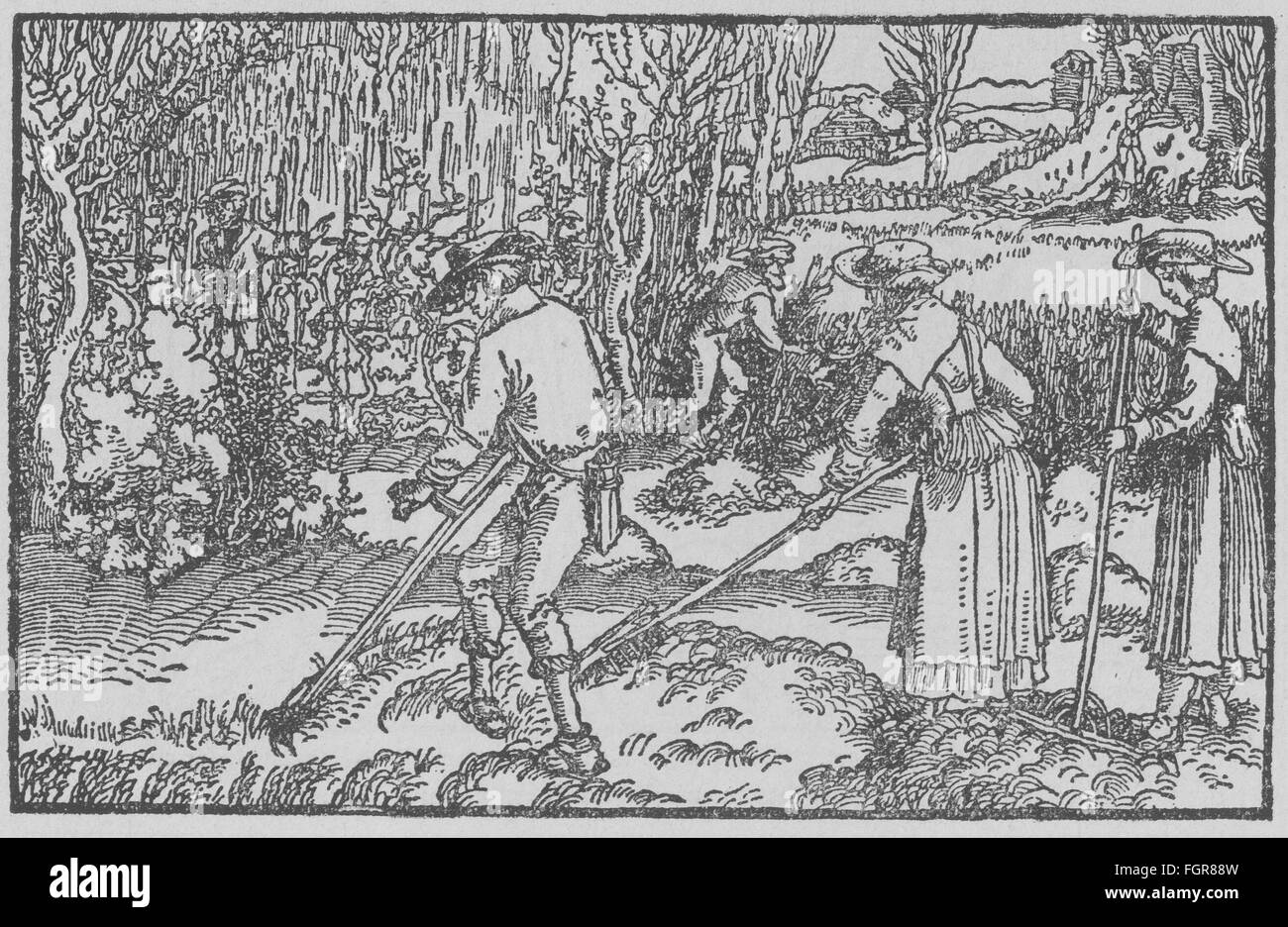 agriculture, farm labour, harvest, mowers, woodcut by Hans Weiditz (circa 1500 - 1536), from: Franceso Petrarca (1304 - 1374), 'Trostspiegel in Glück und Unglück', Augsburg, 1532, wood engraving, 19th century, Additional-Rights-Clearences-Not Available Stock Photo