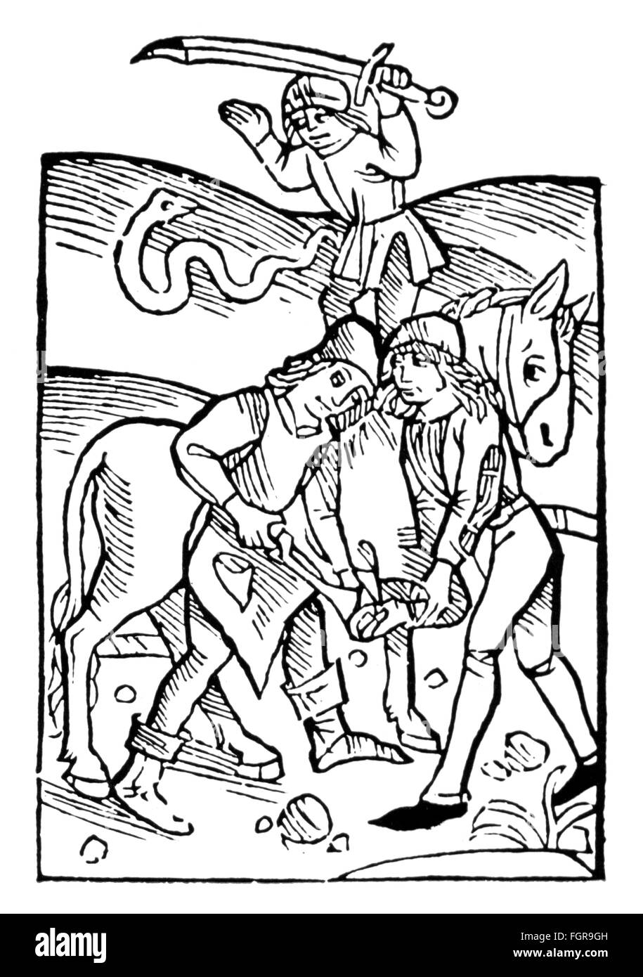 agriculture, horses, peasants cleaning hooves of horse, woodcut, from: Petrus de Crescentiis (1230 / 1233 - 1320 / 1321), 'Ruralia commoda', print: Peter Drach, Speyer, 1493, Additional-Rights-Clearences-Not Available Stock Photo
