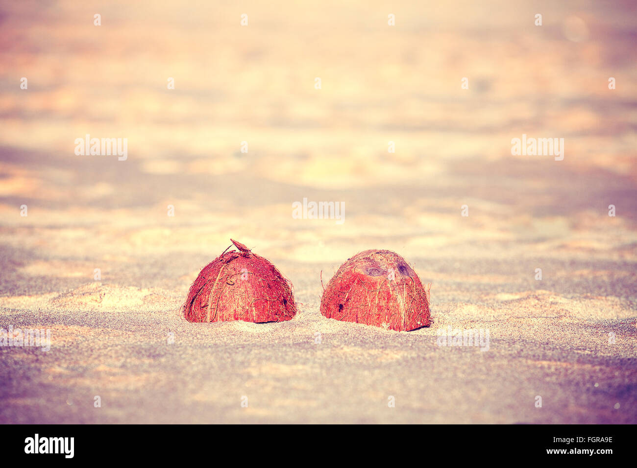 Vintage toned coconut halves on a beach, shallow depth of field. Stock Photo