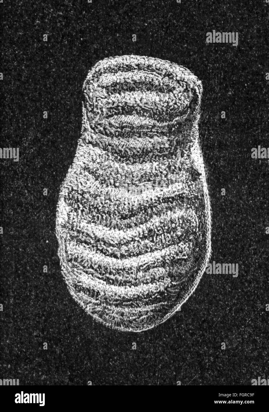 medicine, birth / gynecology, Roman votive picture of a womb, clay