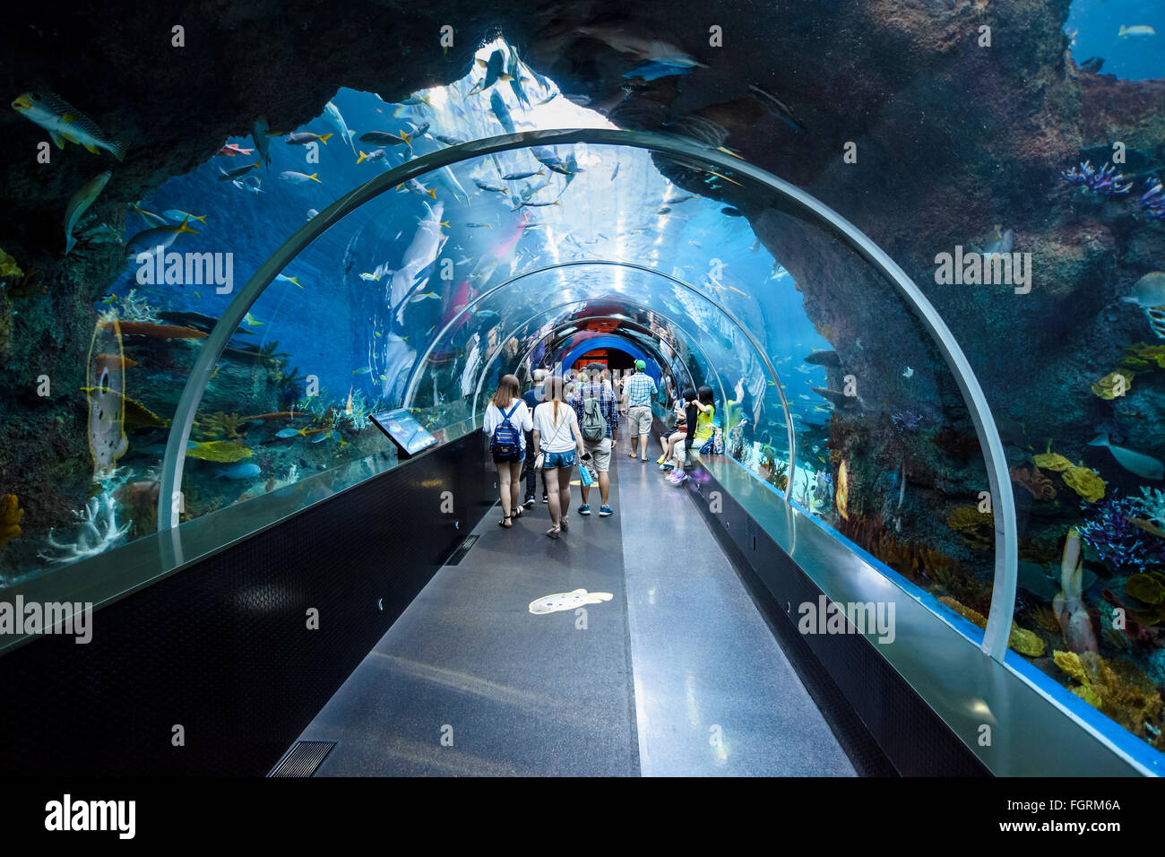 Visitors on the S.E.A. Aquarium tunnel travelator, Sentosa Island, Singapore Stock Photo