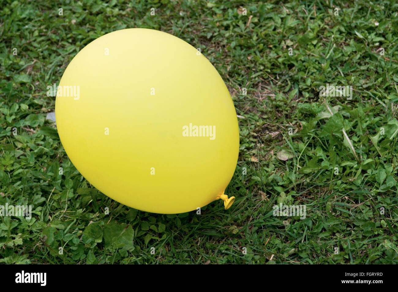 inflated balloon on grass lawn Stock Photo