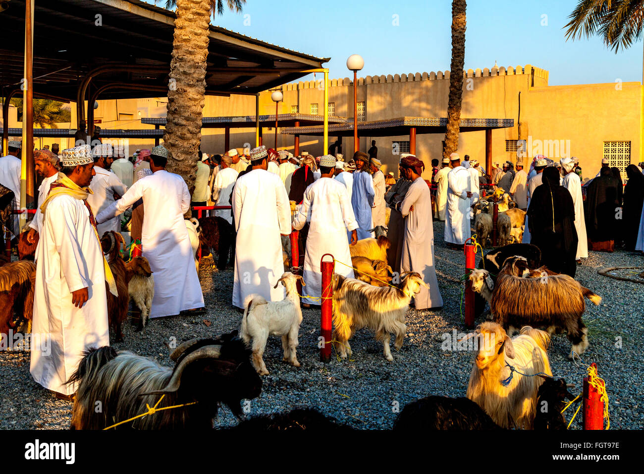 Sunrise At The Friday Livestock Market, Nizwa, Ad Dakhiliyah Region, Oman Stock Photo