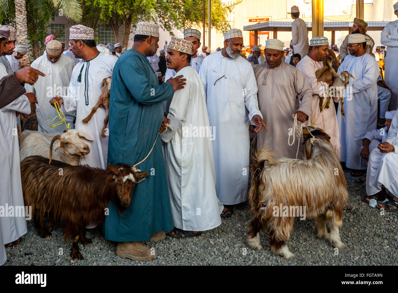 The Friday Livestock Market, Nizwa, Ad Dakhiliyah Region, Oman Stock Photo