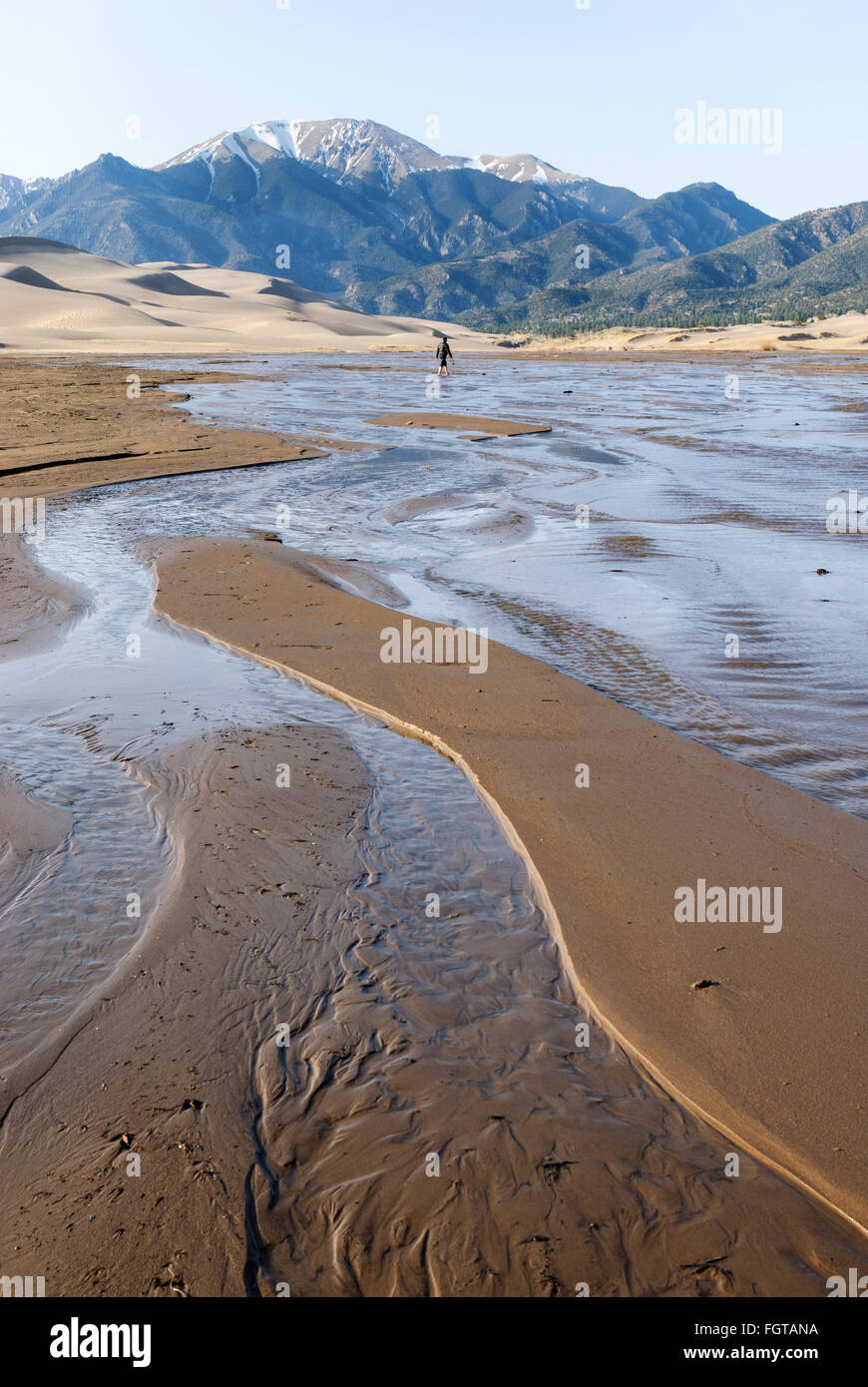A man wades across the Medano creek, Great Sand Dunes National Park, Colorado, USA Stock Photo