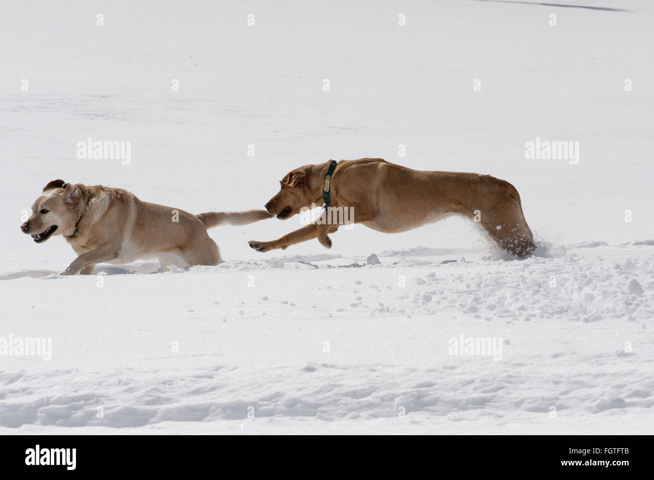 Roxy club hires stock photography and images Alamy