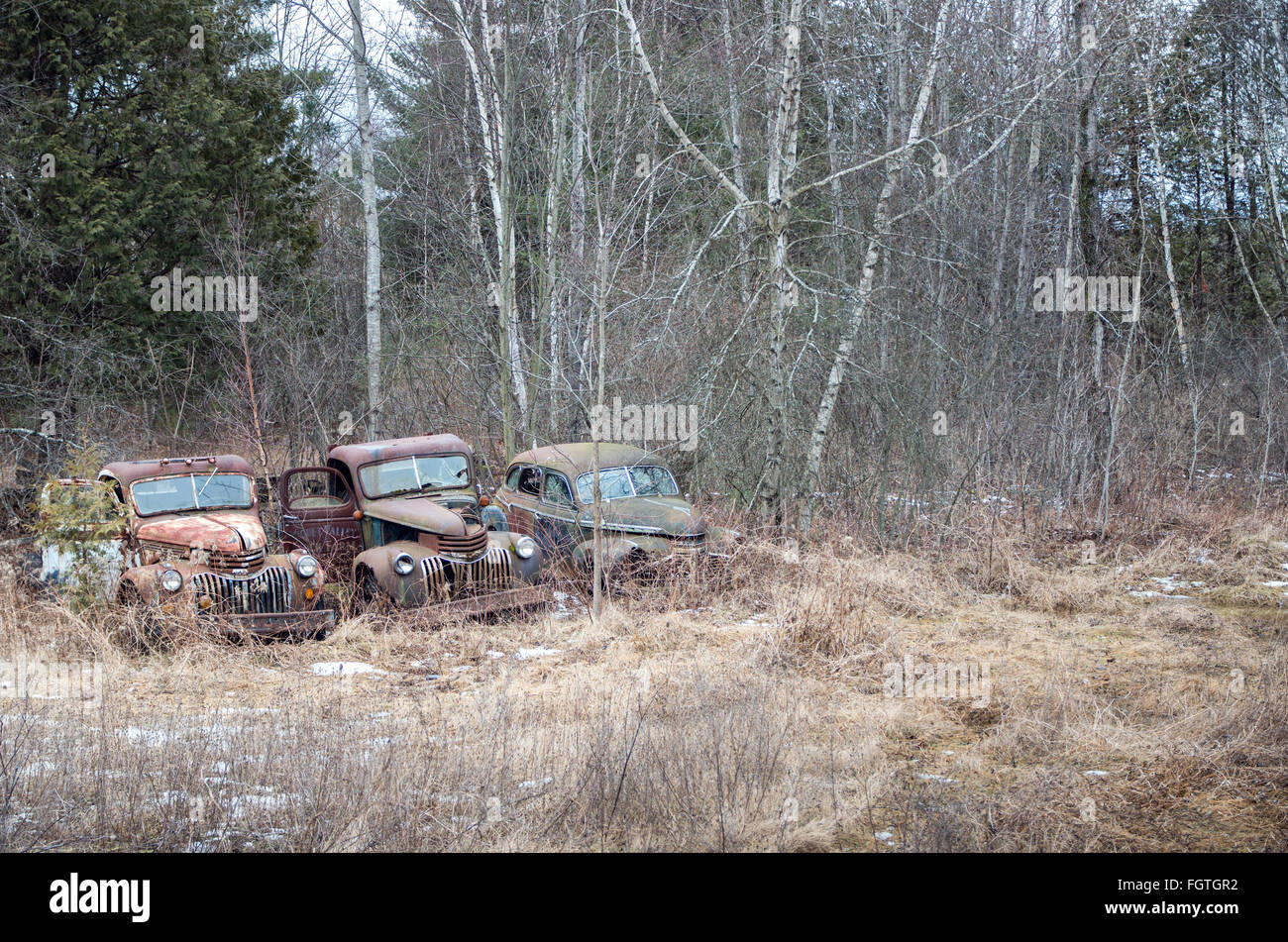 Abandoned vehicles woods hi-res stock photography and images - Alamy