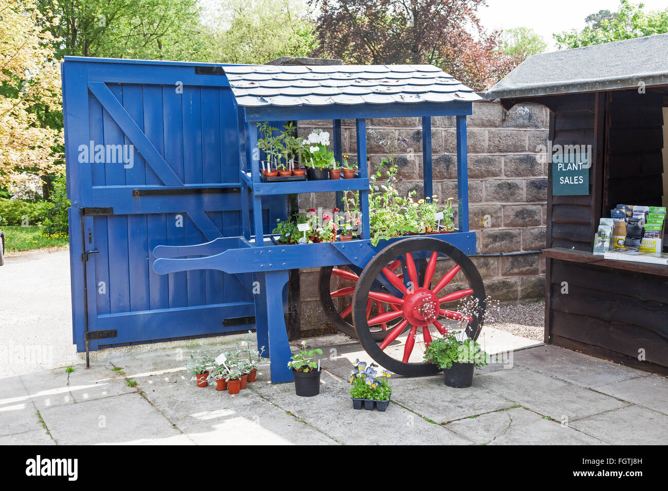 A large wheelbarrow selling plants in the garden centre at Cholmondeley Castle Cheshire England UK United Kingdom GB Stock Photo