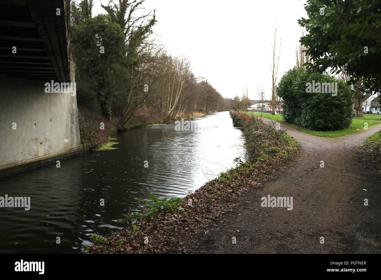 The Basingstoke Canal At Woking Surrey Before Being Drained Ready For Repair Works Stock Photo Alamy The Basingstoke Canal At Woking Surrey Before Being Drained Ready For Repair Works Stock Photo Alamy