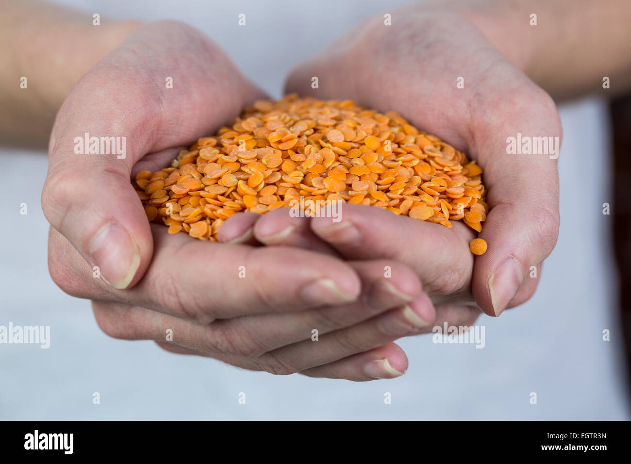 Hand Ful Woman showing handful of red lentils Stock Photo - Alamy