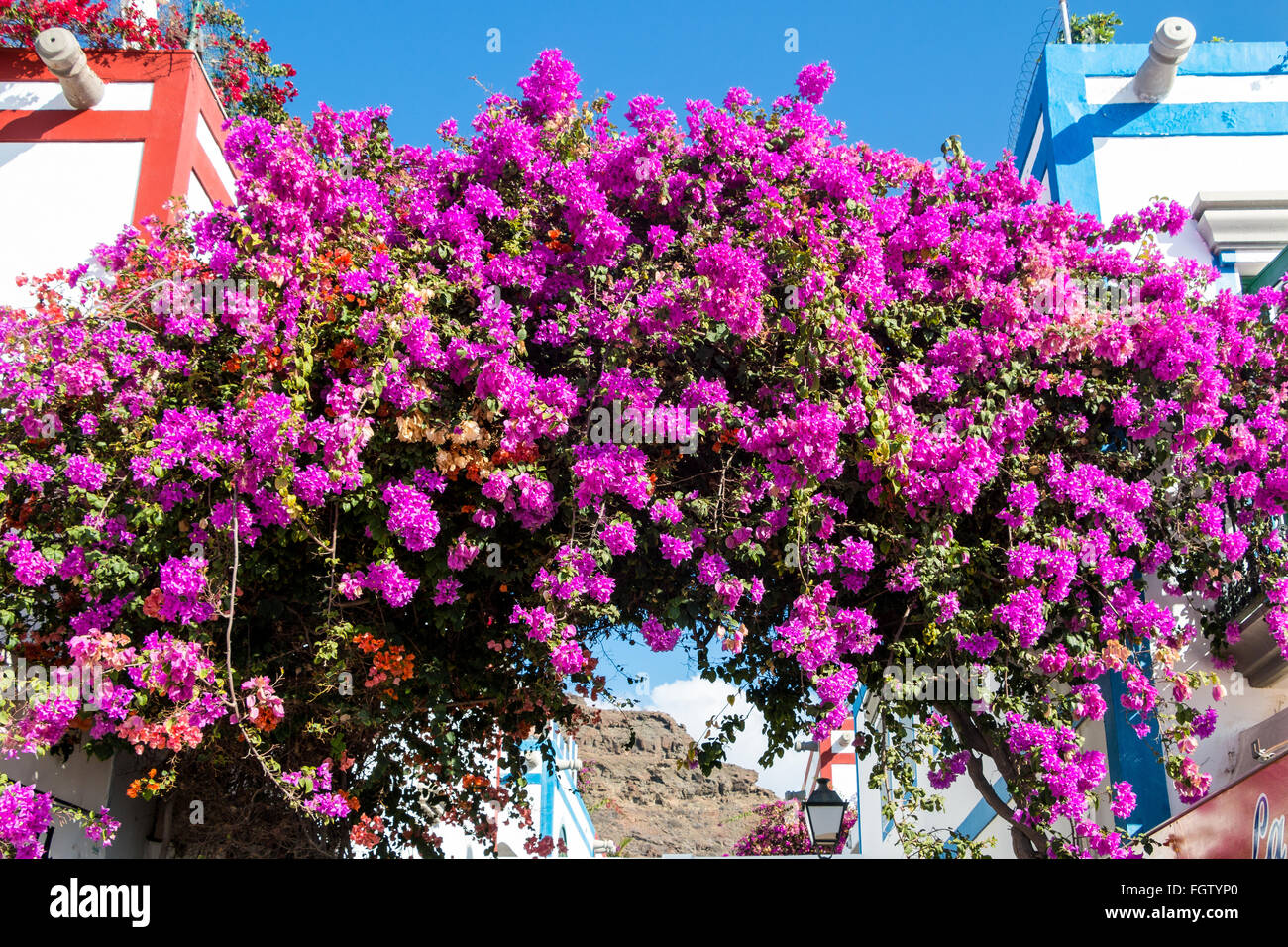Archway decorated with flowers, Puerto de Mogan, Gran Canaria, Canary Islands, Spain, Europe Stock Photo