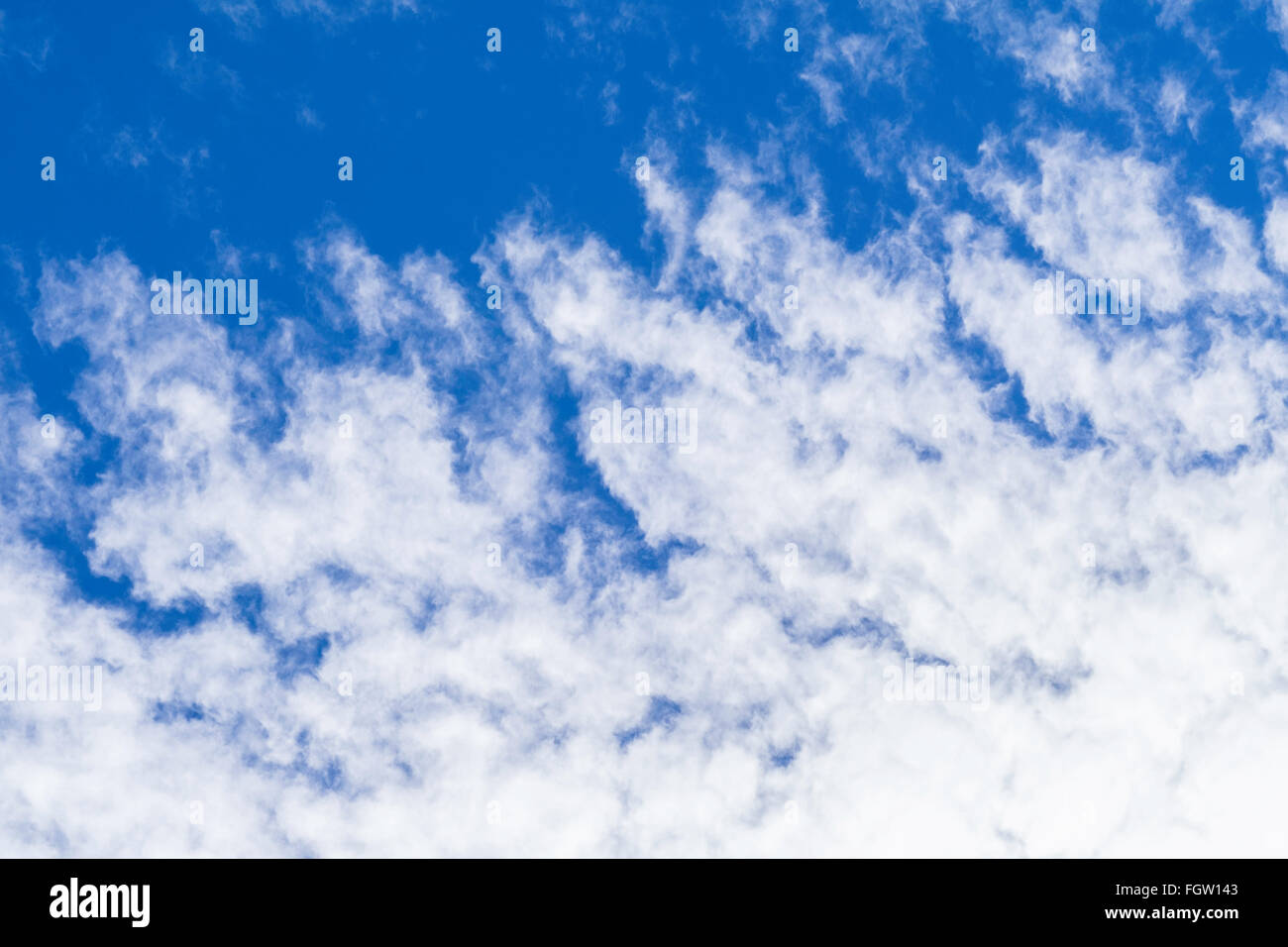 Altocumulus clouds against a blue sky in late winter on a warm day. Stock Photo