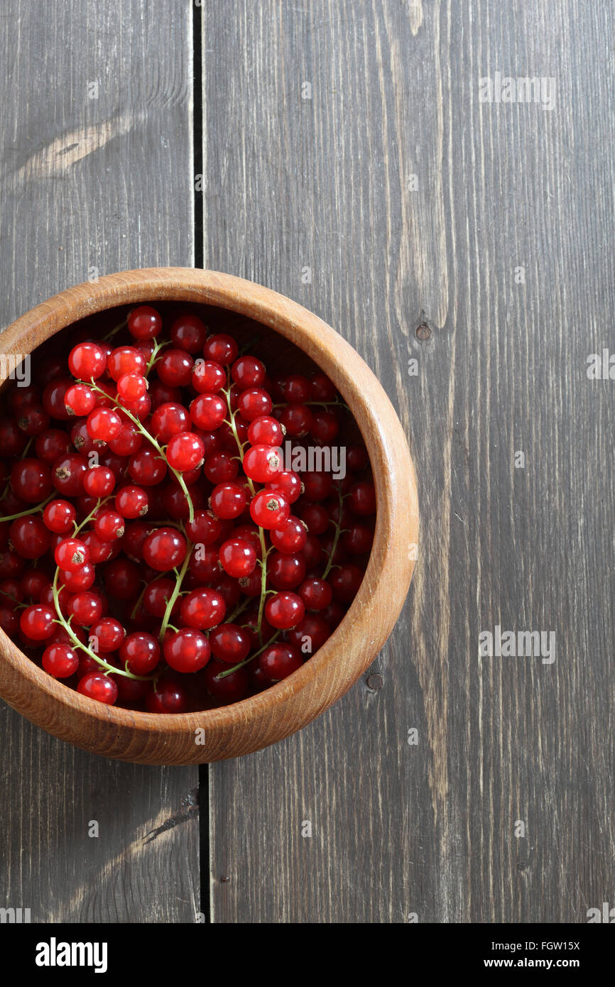 fresh red currant Stock Photo