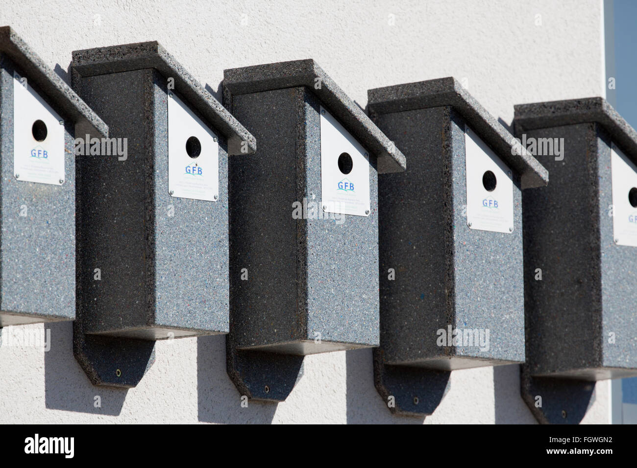Tree Sparrow Nest Boxes RSPB Bempton Yorkshire Stock Photo Alamy tree-sparrow-nest-boxes-rspb-bempton-yorkshire-stock-photo-alamy