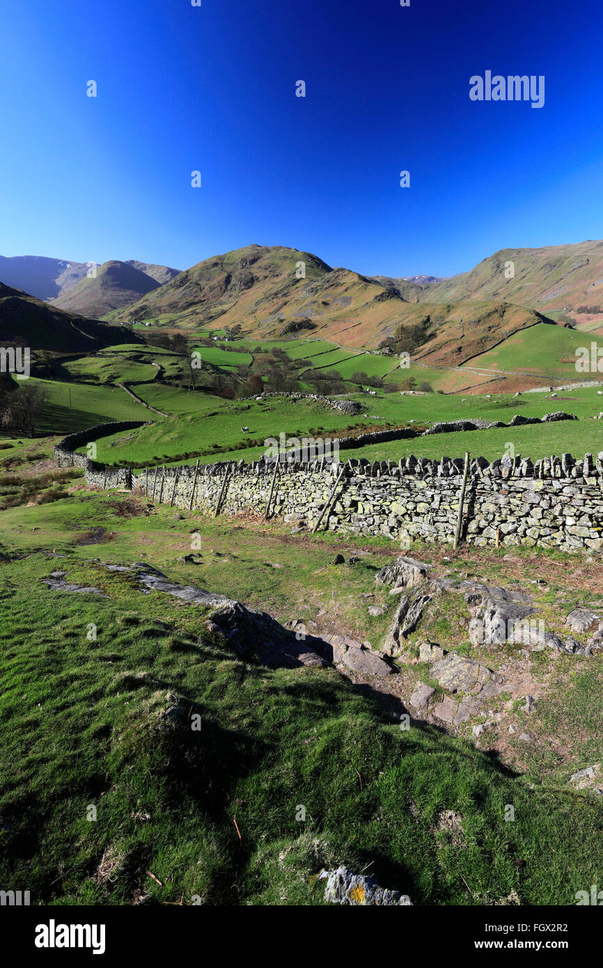 Spring, Martindale Common valley, Lake District National Park, Cumbria