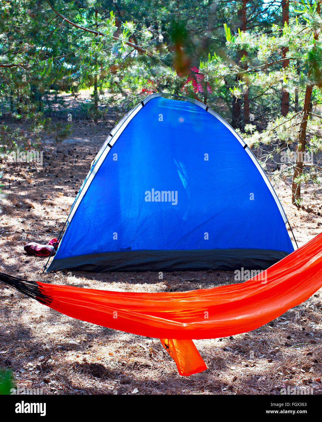 Camping tent and hammock in the forest Stock Photo Alamy