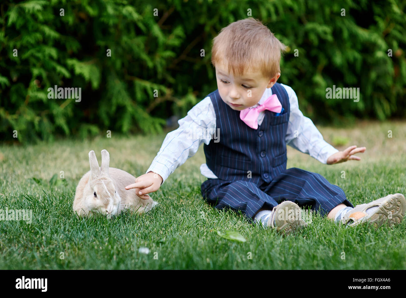 little boy in a suit playing with a rabbit on the grass Stock Photo