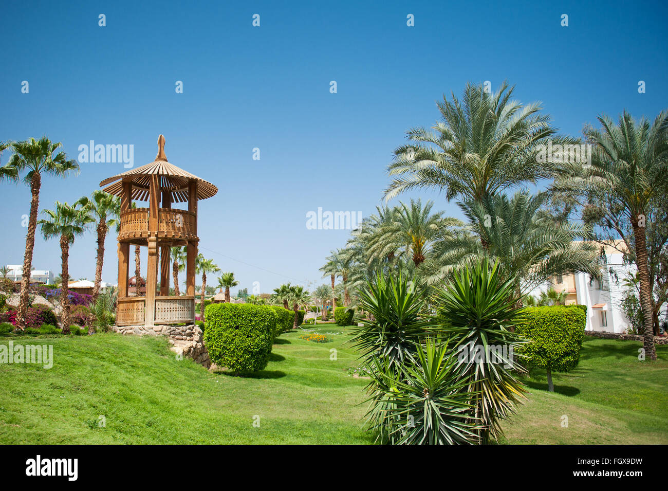 beautiful green area of the hotel with palm trees Stock Photo