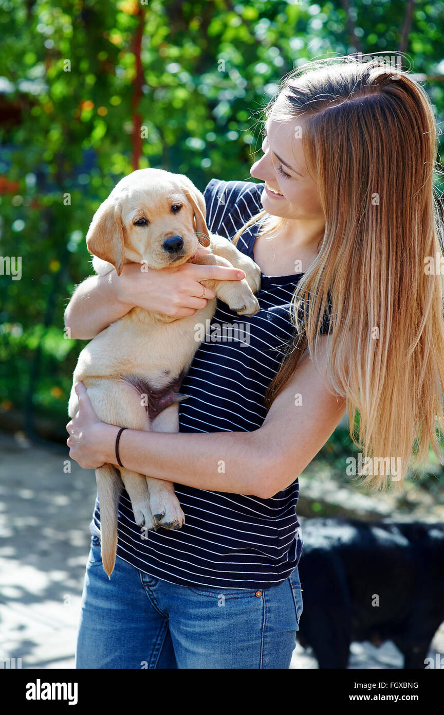 Portrait of Young woman holding on hands puppy Labrador Stock Photo