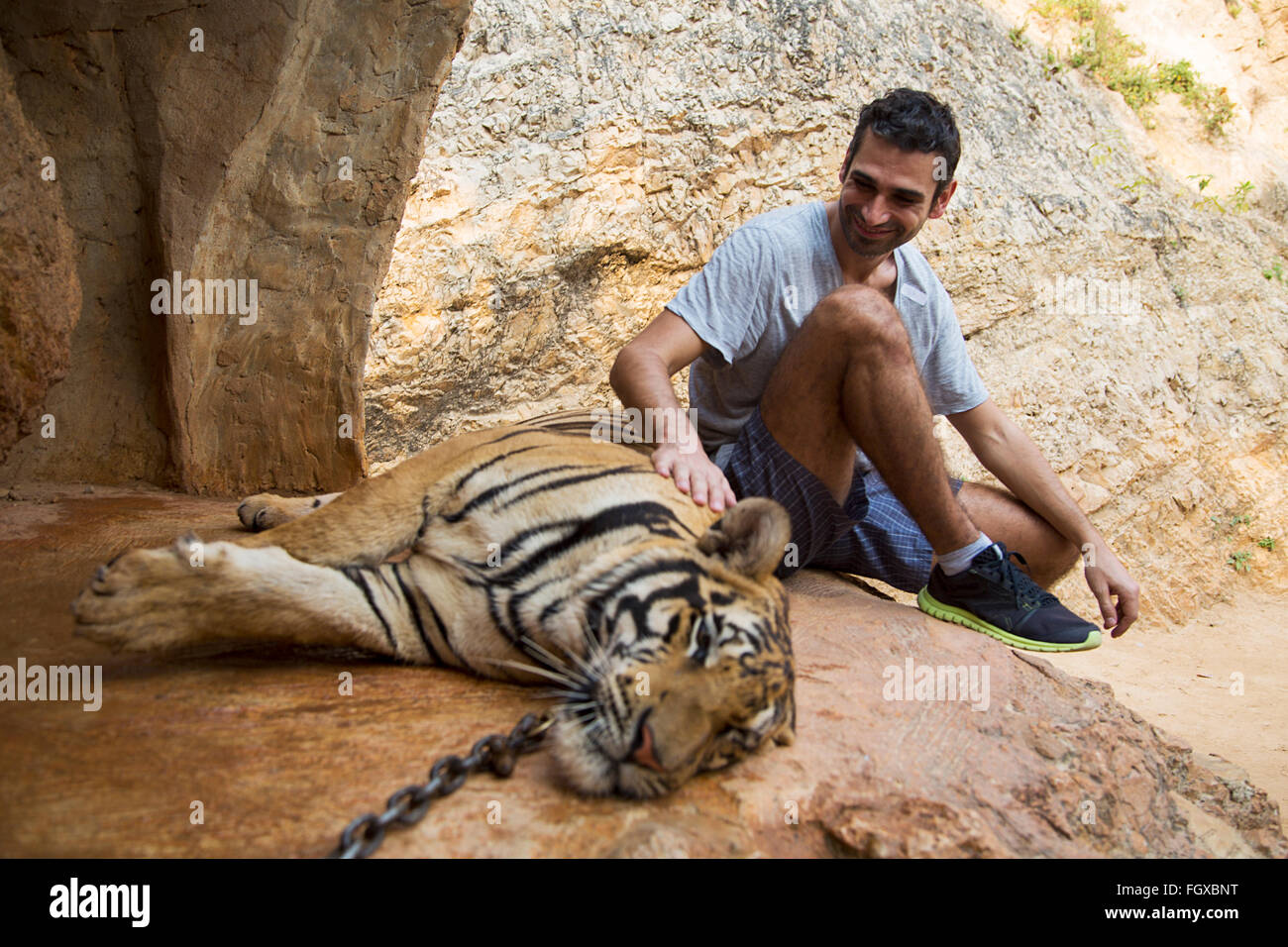 Man in Tiger temple in Thailand Stock Photo