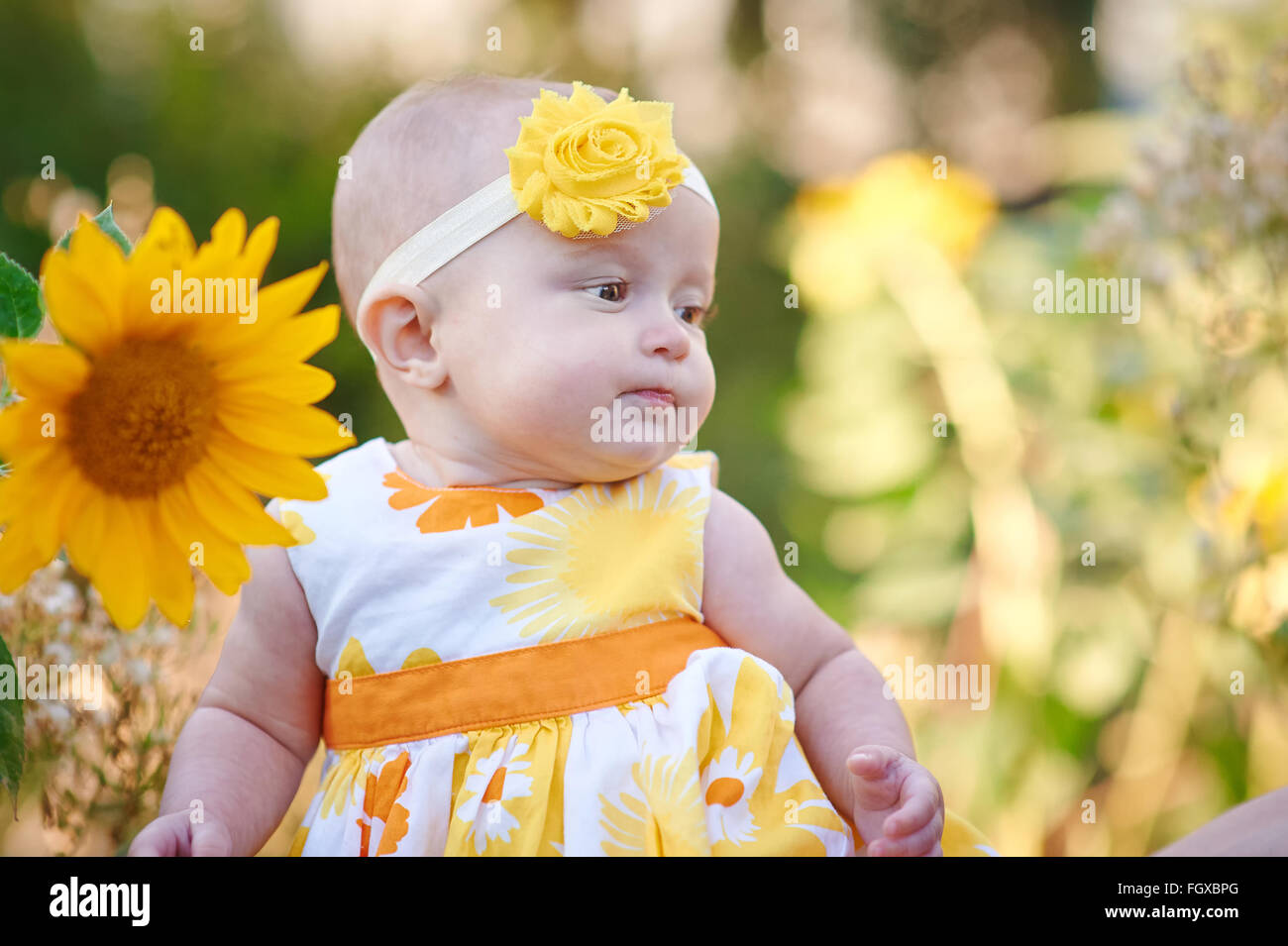 Little girl playing on the grass in the summer park Stock Photo - Alamy