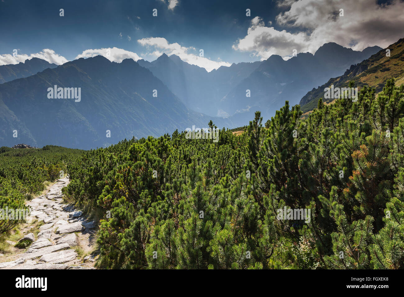 Poland Tatra National Park in Tatra Mountains, part of Carpathian