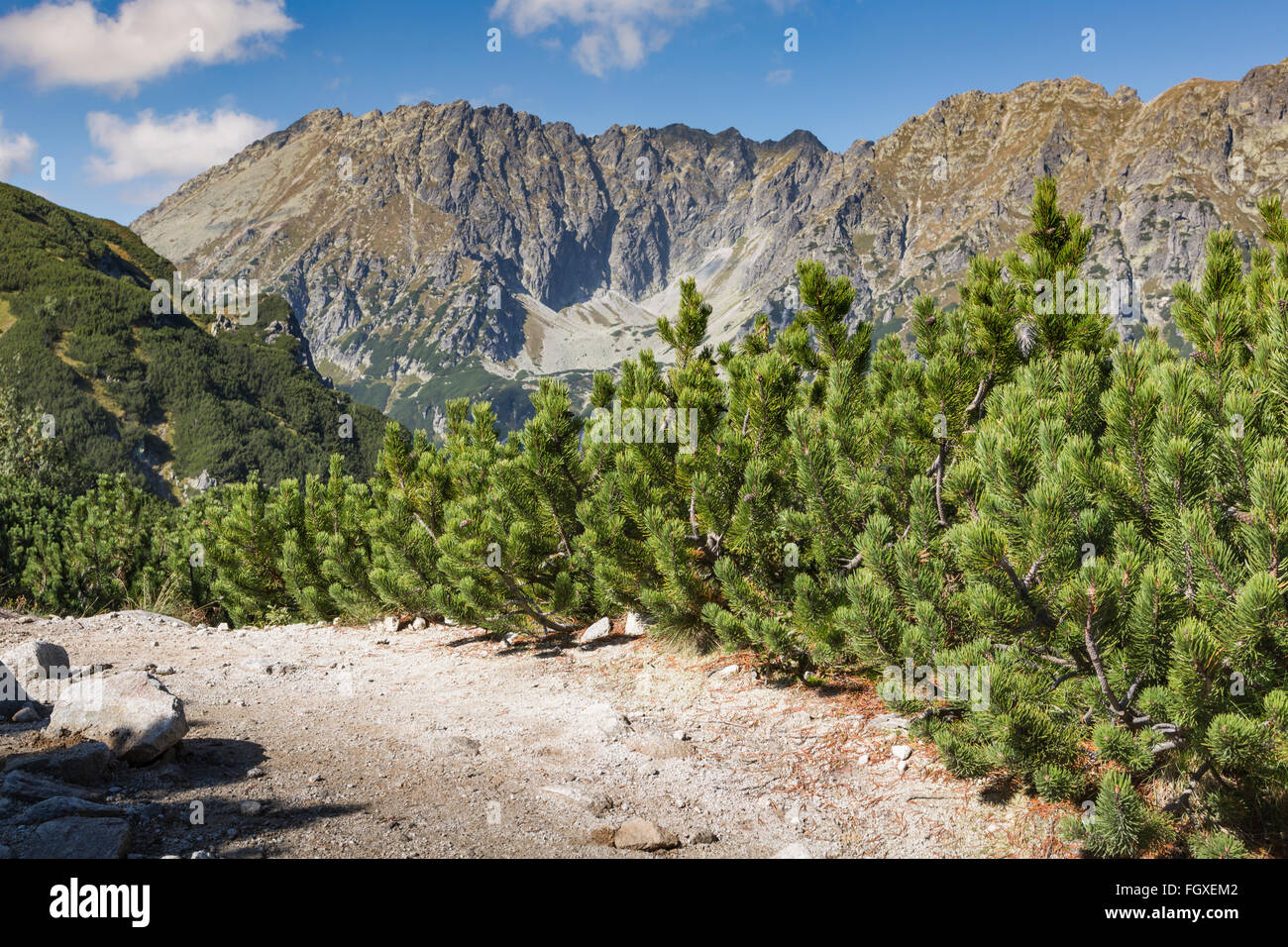 Poland Tatra National Park in Tatra Mountains, part of Carpathian