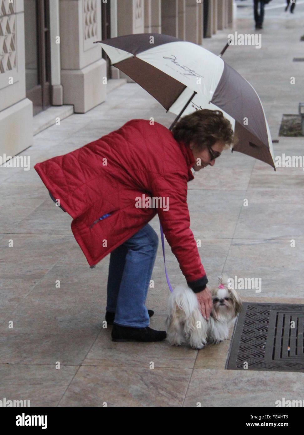 Judge Judy shelters under an umbrella while out walking her dog in Beverly Hills Featuring