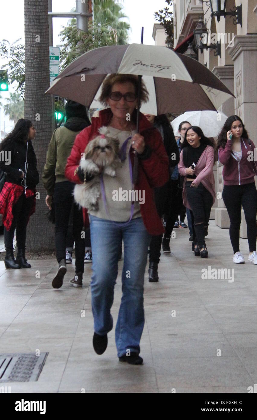 Judge Judy shelters under an umbrella while out walking her dog in Beverly Hills  Featuring: Judge Judy, Judith Sheindlin Where: Los Angeles, California, United States When: 18 Jan 2016 Stock Photo