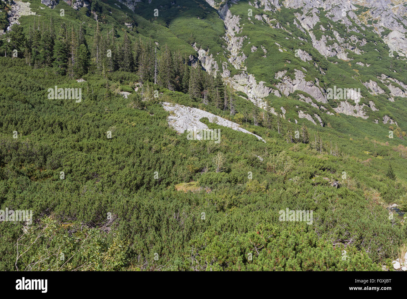 Poland Tatra National Park in Tatra Mountains, part of Carpathian Mountains. UNESCO Biosphere