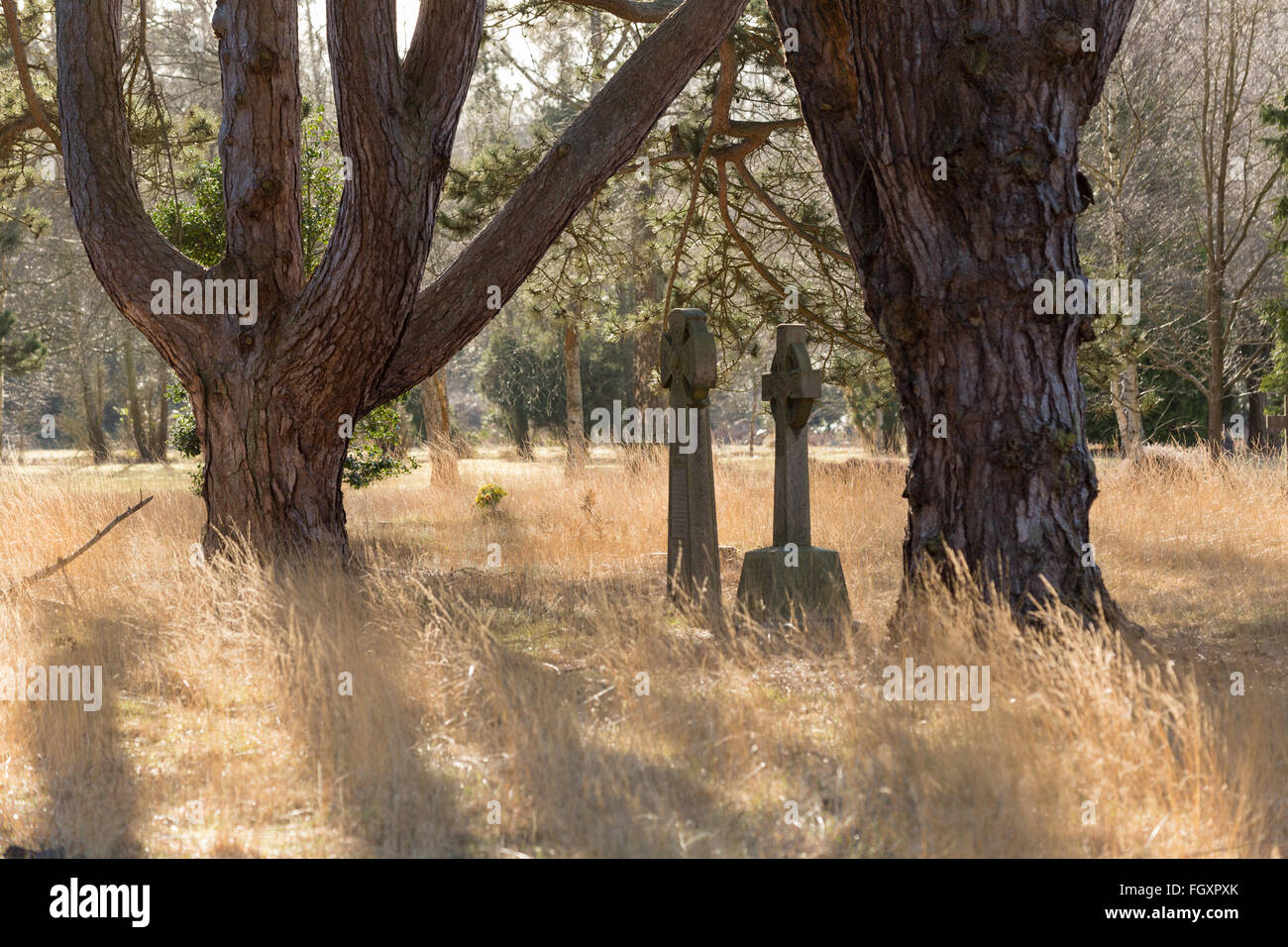 Two headstones between... Stock Photo