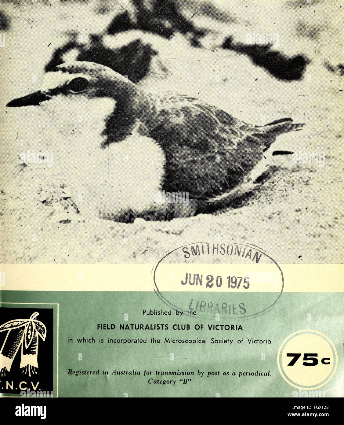The Victorian naturalist (1975) Stock Photo