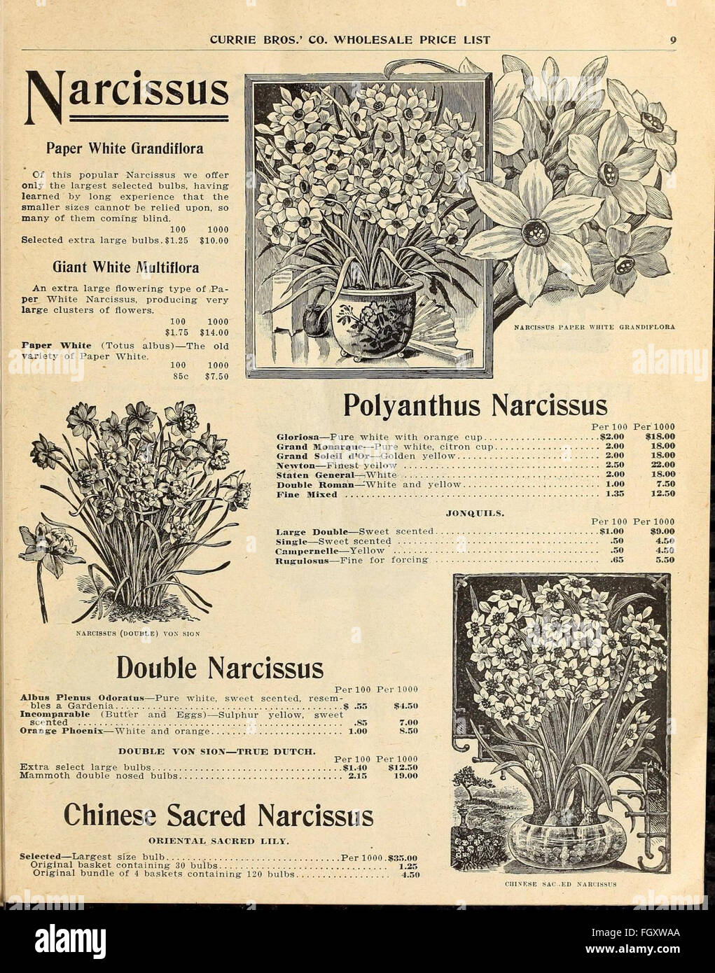 This wholesale price list offers a comprehensive catalog of products