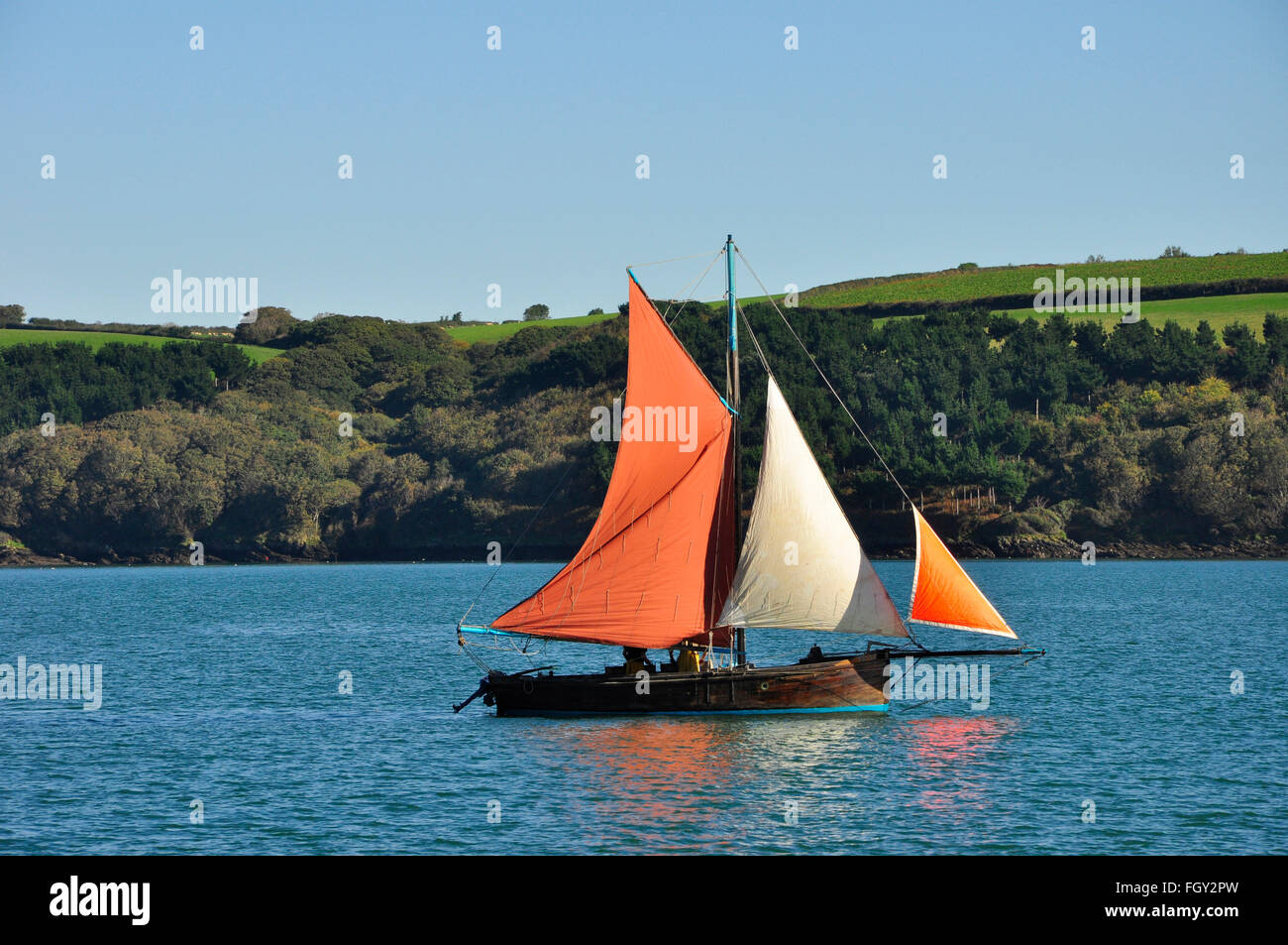 Falmouth Oyster boat,dredging in the River Fal,Falmoth, Cornwall UK Stock Photo